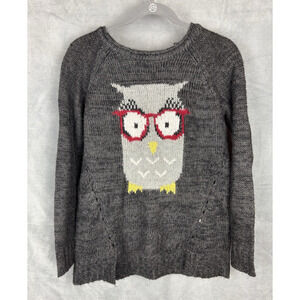 Democracy Owl Graphic Print Knit Sweater Women's Small Gray Novelty Sweater